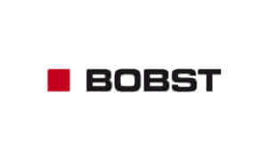 Dennis Kleinman Voice Actor Bobst Logo