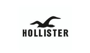 Dennis Kleinman Voice Actor Hollister Logo