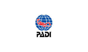 Dennis Kleinman Voice Actor Padi Logo